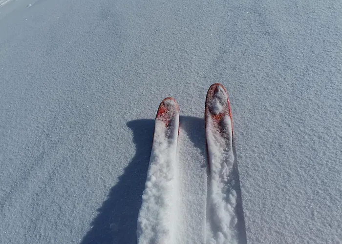 Apartment Eskival Skis Aux Pieds